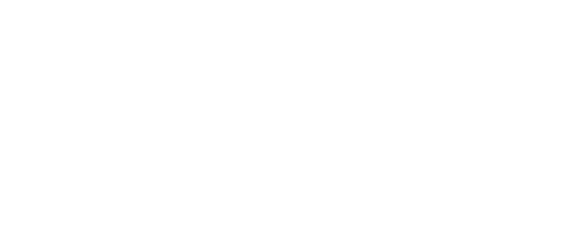 国际护照 匈牙利护照 - 海龟VPN